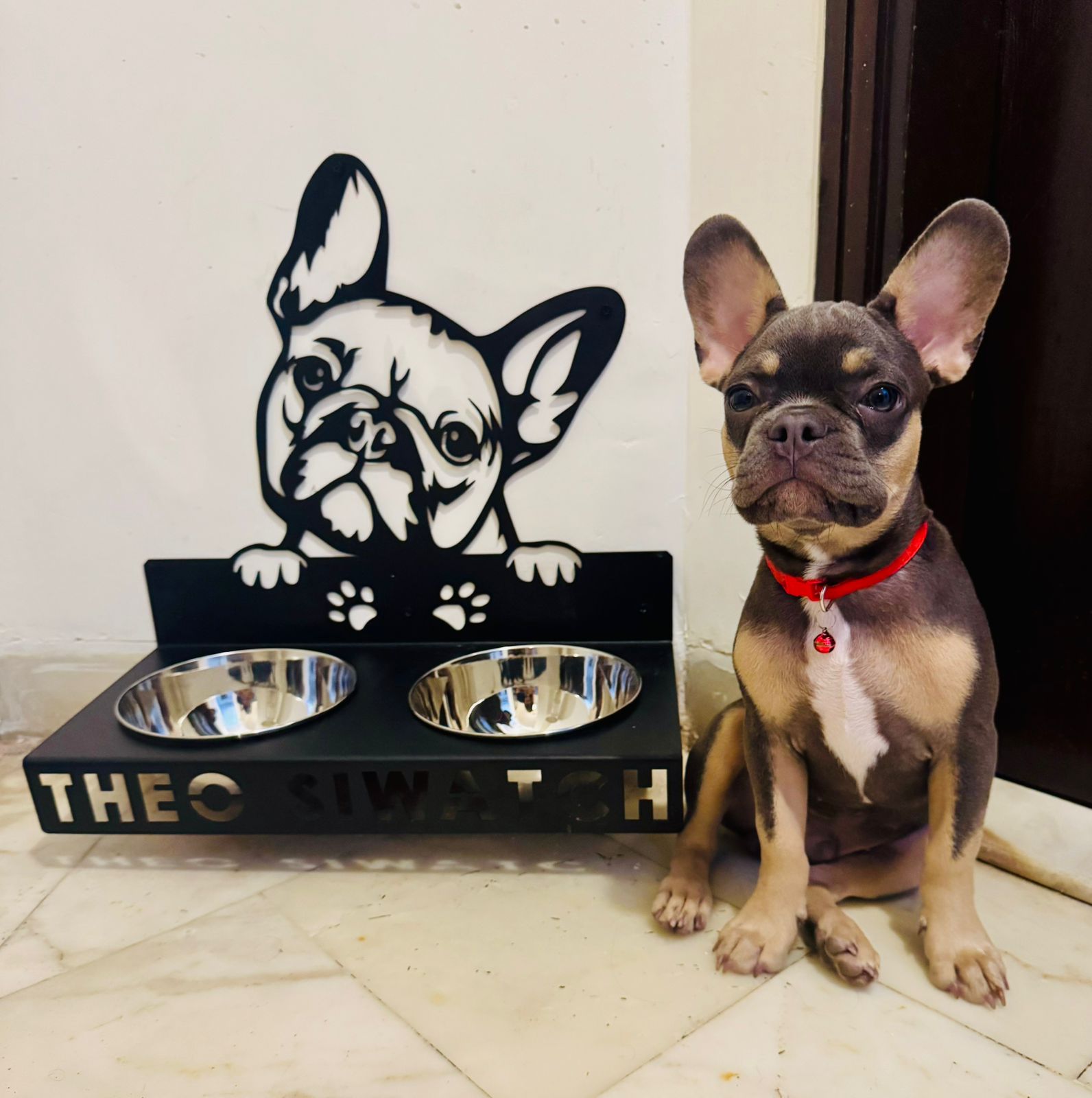 Steel Stand with Dish & Water Bowls for Pets