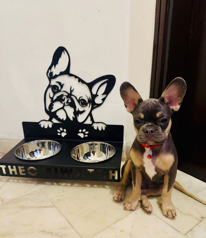 Steel Stand with Dish & Water Bowls for Pets